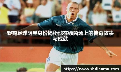 野鹤足球明星身份揭秘他在绿茵场上的传奇故事与成就