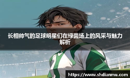 长相帅气的足球明星们在绿茵场上的风采与魅力解析