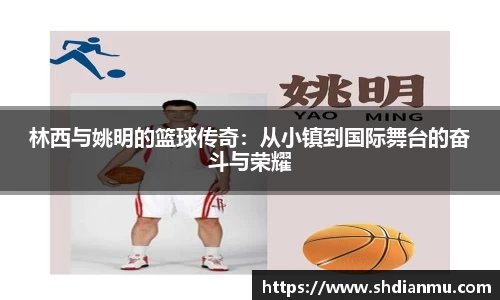 韦德体育