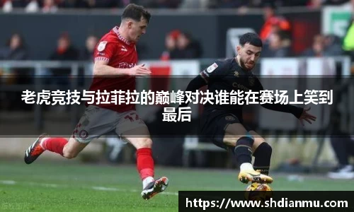 老虎竞技与拉菲拉的巅峰对决谁能在赛场上笑到最后